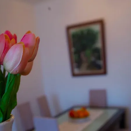 Apartman Ivana Apartamento Split
